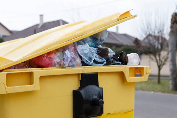 Best Moving and Downsizing Cleanouts  in Pantops, VA
